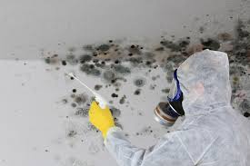 Best Comprehensive Air Testing for Mold Contaminants  in Gardner, KS